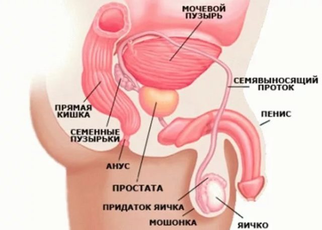 воспаление